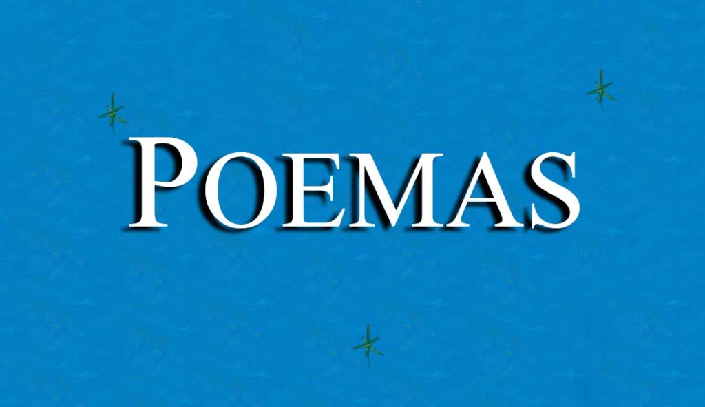 Tapa Poemas
